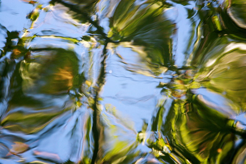 weerspiegeling blad in water